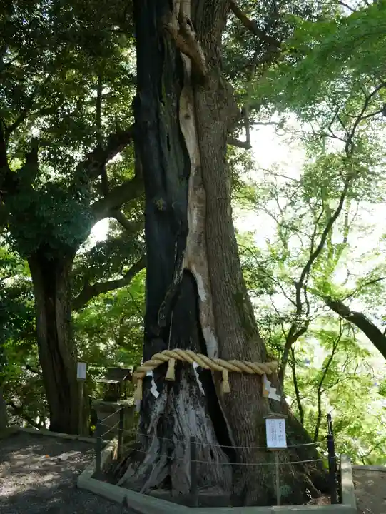 常陸國總社宮(茨城県)