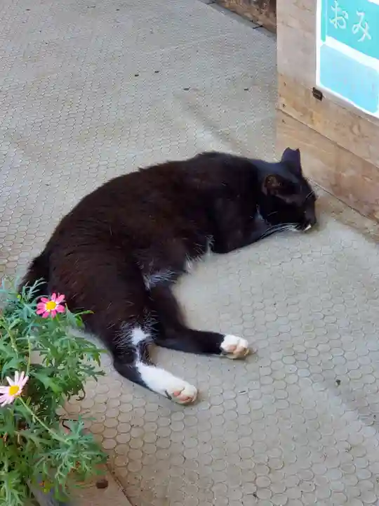 岡部春日神社~👹鬼門よけの🌺花咲く🌺やしろ~(福島県)