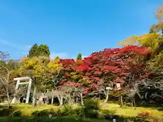土津神社｜こどもと出世の神さまの自然