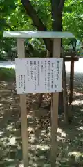 猪名野神社元宮の歴史