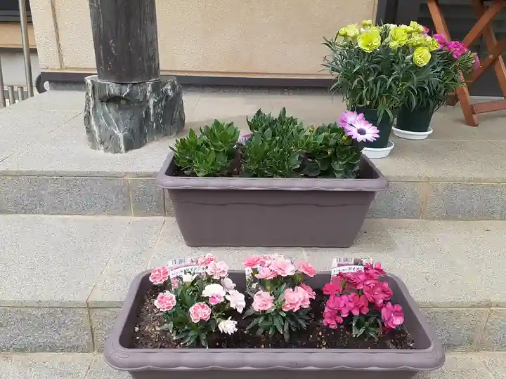 伏木香取神社の庭園