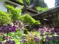 古知谷阿弥陀寺の自然