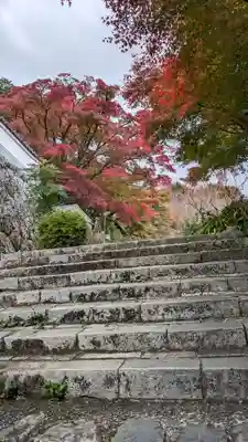 善峯寺(京都府)