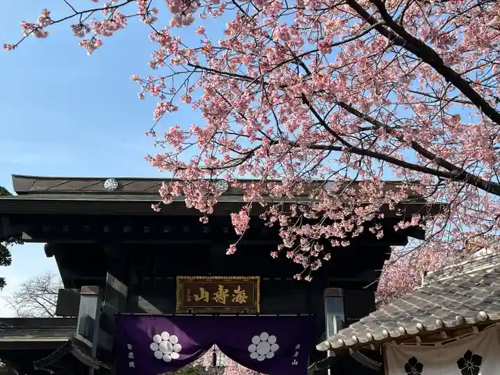 密藏院(埼玉県)