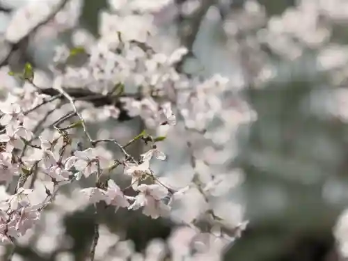 中院の{uncategorized: "未分類", other: "その他", undefined: "問題あり", building: "その他建物", grave: "お墓", sacred_gate: "鳥居", guardian: "狛犬", statue: "像", buddha: "仏像", history: "歴史", nature: "自然", garden: "庭園", animal: "動物", pagoda: "塔", temizu: "手水舎", mountain_gate: "山門・神門", sanctuary: "本殿・本堂", subordinate: "末社・摂社", art: "芸術", scenery: "景色", jizo: "地蔵", ema: "絵馬", goshuin: "御朱印", omikuji: "おみくじ", items: "授与品その他", amulet: "お守り", goshuincho: "御朱印帳", eats: "食事", festival: "お祭り", votive_dance: "神楽", shichigosan: "七五三参", wedding: "結婚式", experience: "体験その他", initially: "初詣", around: "周辺", anti_infection: "感染症対策"}