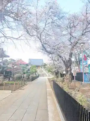 東福寺(東京都)