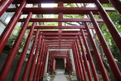 富岡八幡宮の鳥居