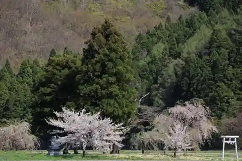 大山祇神社の景色