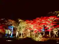 土津神社|こどもと出世の神さまの自然