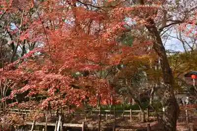 賀茂御祖神社（下鴨神社）(京都府)