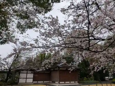阿佐ヶ谷神明宮(東京都)