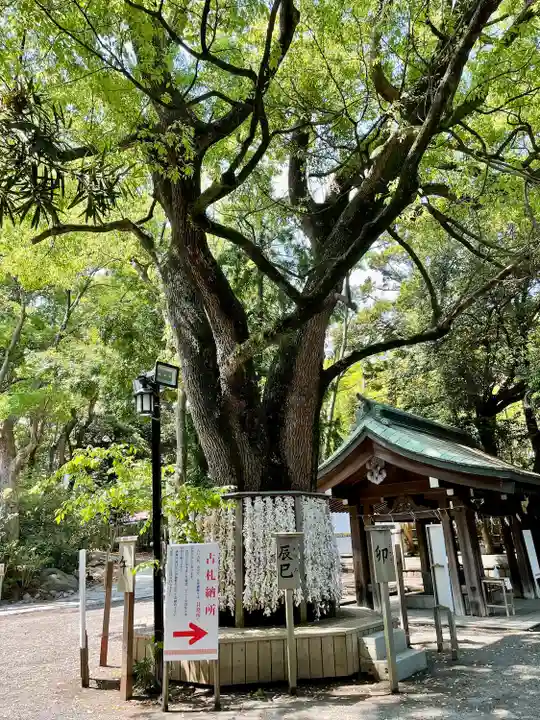 平塚八幡宮(神奈川県)