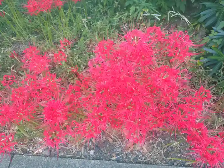 福寿院(東京都)