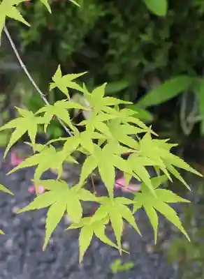 善法律寺(京都府)