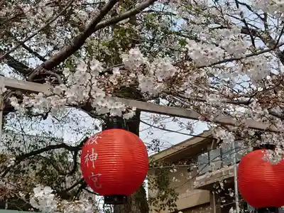 桜神宮(東京都)