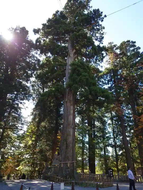 戸隠神社中社(長野県)