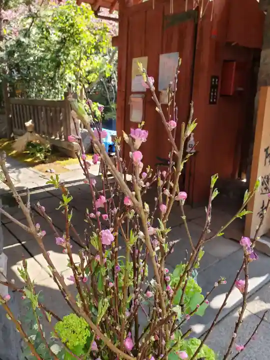 陽運寺(東京都)