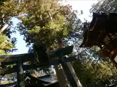 三峯神社の建物その他