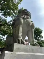 寒川神社の狛犬