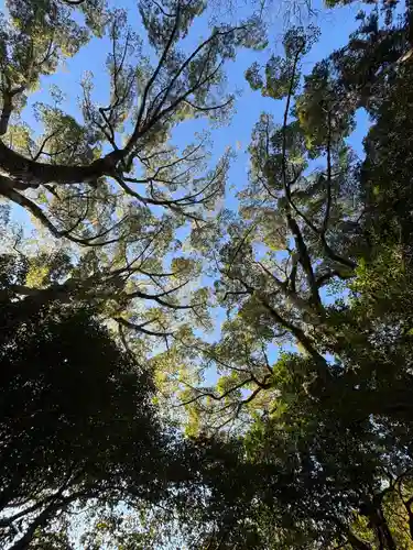 月讀宮（皇大神宮別宮）(三重県)