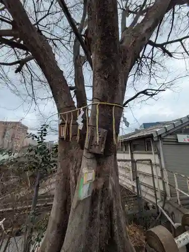 太田姫稲荷神社跡（一口神社）(東京都)