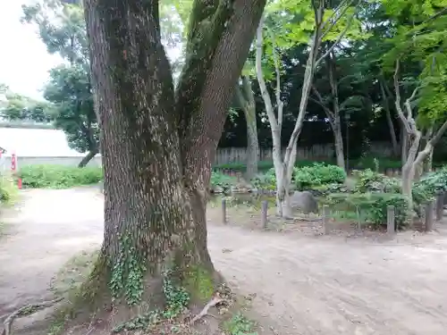 増上寺塔頭 三縁山 宝珠院の庭園