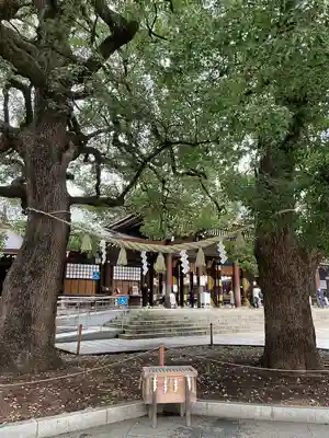 明治神宮(東京都)