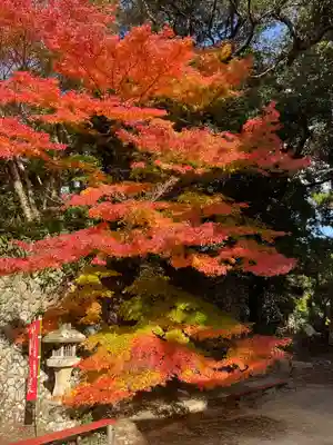 目の霊山　油山寺(静岡県)