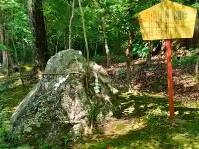 土佐神社の自然