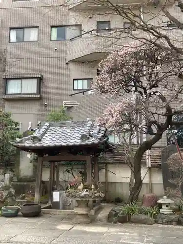 成就院の手水舎