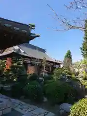 鉄舟寺の庭園