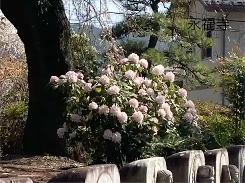 永福寺(長野県)
