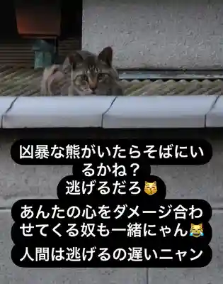 専念寺(大阪府)