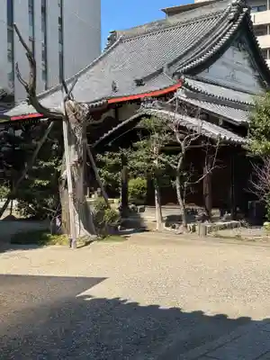 大法寺(愛知県)