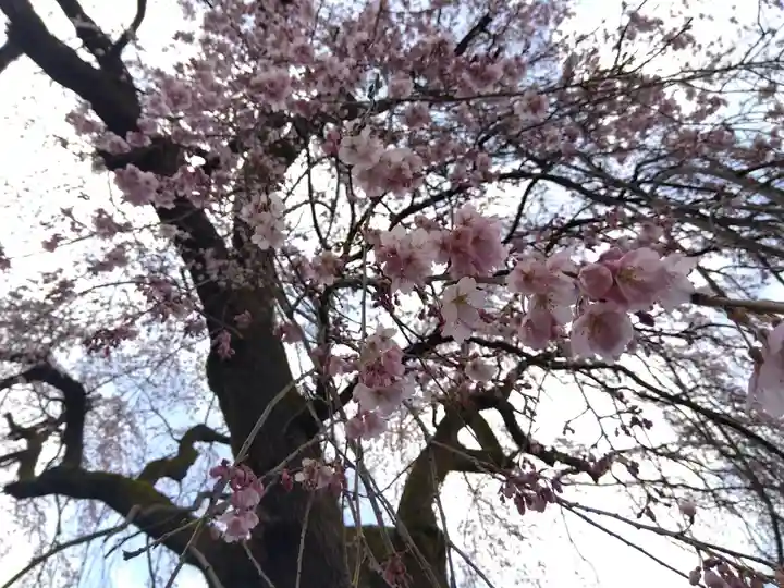 日朝寺(新潟県)