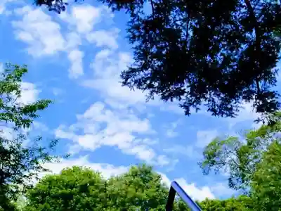 吉田杉山神社の自然