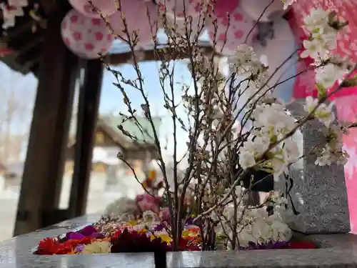 札幌諏訪神社の手水