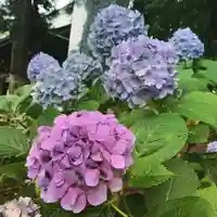 豊景神社の自然