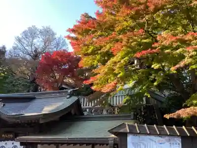 高尾山薬王院のその他建物