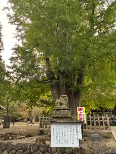 新宮熊野神社(福島県)