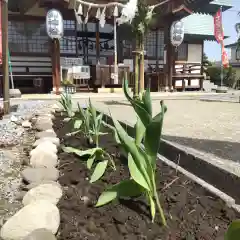 七重浜海津見神社(北海道)