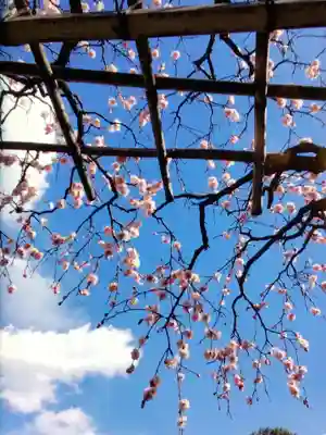 長善寺(東京都)