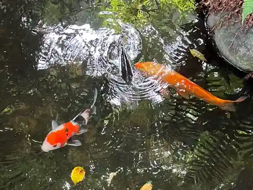 秩父今宮神社(埼玉県)