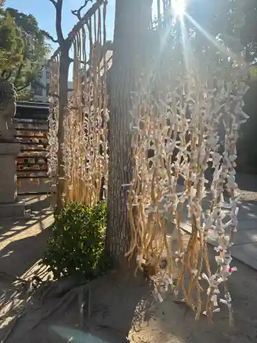 難波八阪神社の{uncategorized: "未分類", other: "その他", undefined: "問題あり", building: "その他建物", grave: "お墓", sacred_gate: "鳥居", guardian: "狛犬", statue: "像", buddha: "仏像", history: "歴史", nature: "自然", garden: "庭園", animal: "動物", pagoda: "塔", temizu: "手水舎", mountain_gate: "山門・神門", sanctuary: "本殿・本堂", subordinate: "末社・摂社", art: "芸術", scenery: "景色", jizo: "地蔵", ema: "絵馬", goshuin: "御朱印", omikuji: "おみくじ", items: "授与品その他", amulet: "お守り", goshuincho: "御朱印帳", eats: "食事", festival: "お祭り", votive_dance: "神楽", shichigosan: "七五三参", wedding: "結婚式", experience: "体験その他", initially: "初詣", around: "周辺", anti_infection: "感染症対策"}