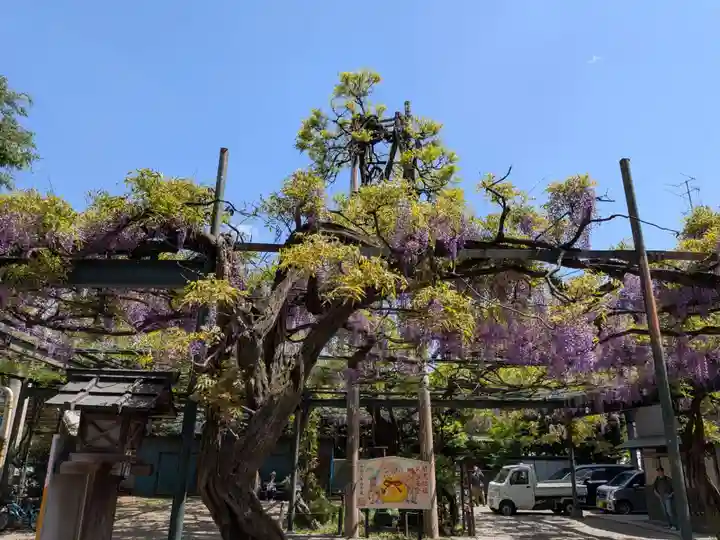 國領神社(東京都)