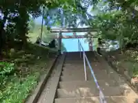 氷川神社(東京都)