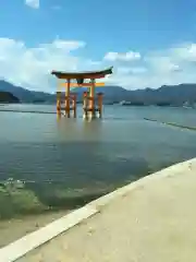 厳島神社の鳥居