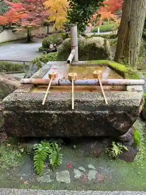 今熊野観音寺(京都府)