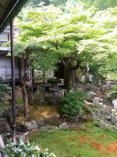 常照皇寺の庭園