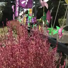 高司神社〜むすびの神の鎮まる社〜の庭園